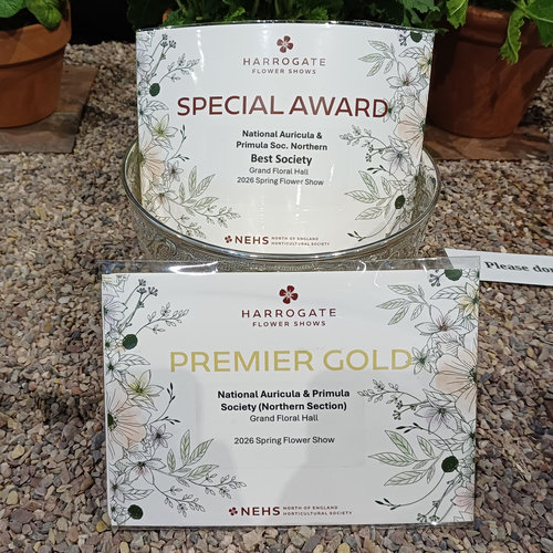 Awards