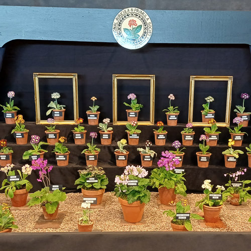 Stand-2