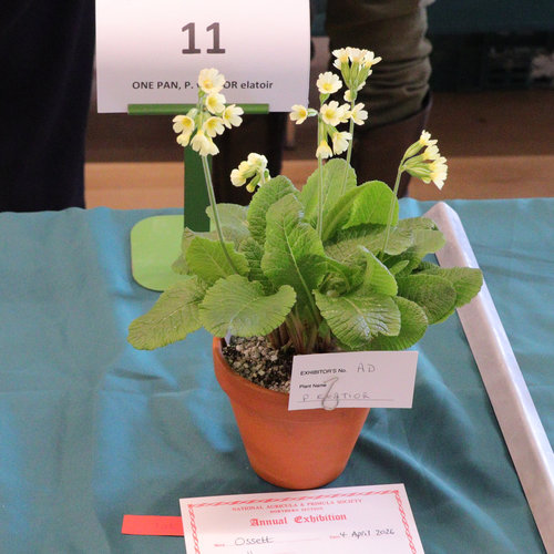 P-11-1-ac-min.jpg