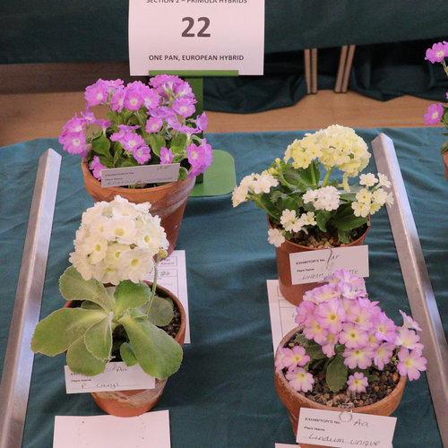 P-22-1-ac-min.jpg
